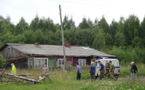 «Заблудившийся в лесу за сутки может пройти 15 километров»: как ищут людей в Кировской области