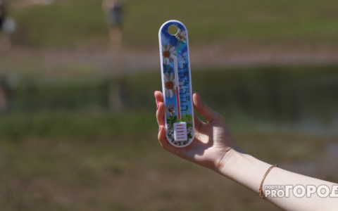 В Кирове прогнозируют жару до +31 градуса