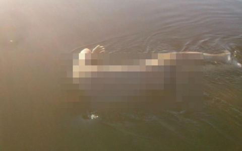 В Кировской области нашли тело утонувшего мужчины
