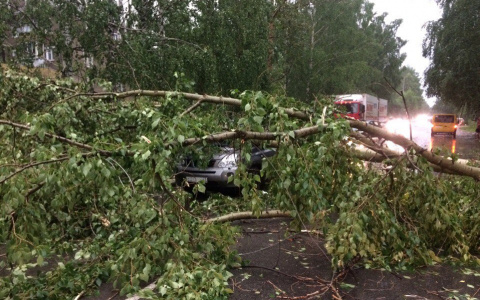 7 зрелищных видео о последствиях урагана в Кирове