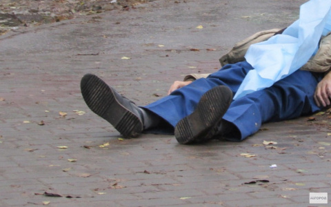 На Победиловском тракте водитель умер от приступа за рулем