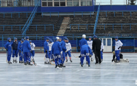 Хоккейному клубу "Родина" в Кирове перечислили 20 000 000 рублей