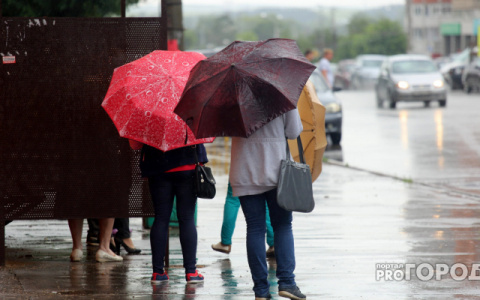 В трех районах Кировской области из-за дождей введен режим ЧС