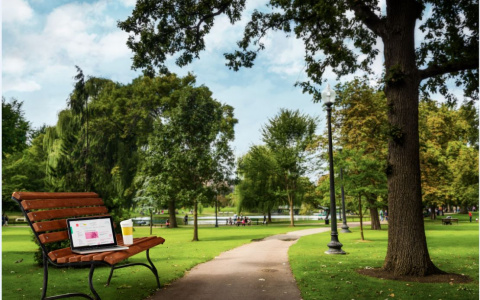 За полгода к сети DOM.RU Wi-Fi подключились более 20 миллионов раз