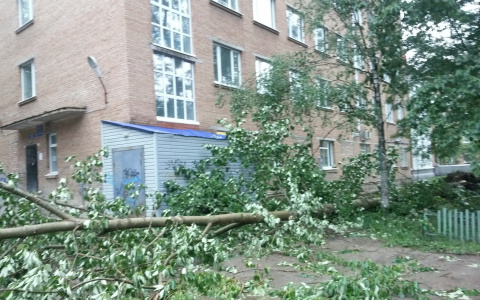 По Первому каналу показали сюжет о непогоде в Кировской области