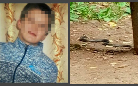 Что обсуждают в Кирове: поиски пропавших детей и змея на детской площадке