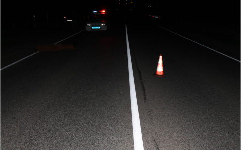 В Кировской области насмерть сбили молодого мужчину