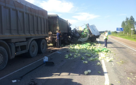 В Кировской области груженная капустой «Газель» влетела в фуру