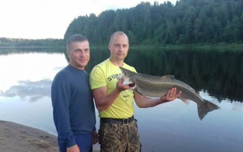 Рыбаки поймали в Кировской области редкую рыбу