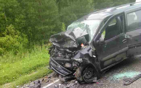 В ДТП под Черной Холуницей погибли два человека