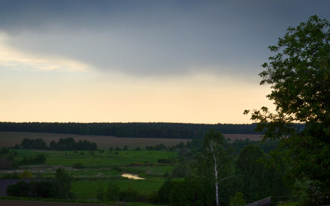 В Кировской области температура воздуха упала до +4°C