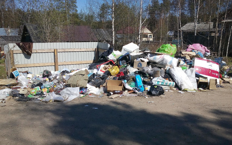 ВятГУ готовы построить завод по переработке мусора для получения энергии