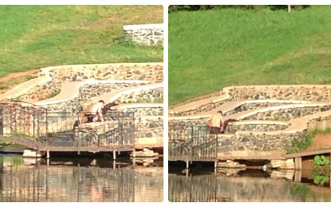 Мужчина выстирал одежду в пруду у цирка в Кирове