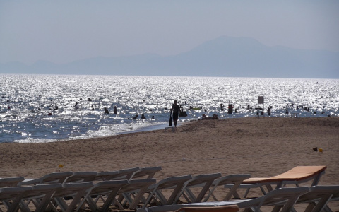 Турция отправила официальный ответ по поводу распространения вируса Коксаки