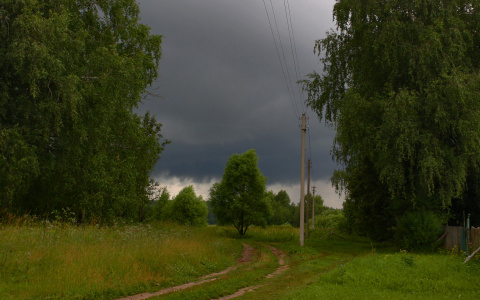 Дожди и грозы: МЧС опубликовало прогноз погоды в Кирове на вторник