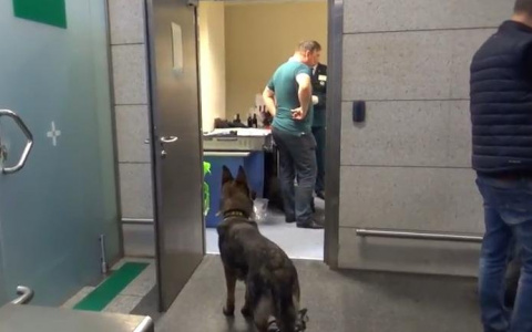 Экс-директору «Авитек», пойманному с кокаином, продлили срок ареста