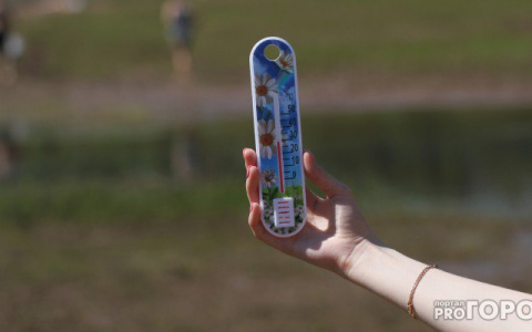 МЧС сообщает о высокой пожарной опасности в Кировской области из-за жары