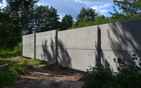 Жители деревни в Кировской области: «Нас хотят оставить без леса, пруда и дорог»