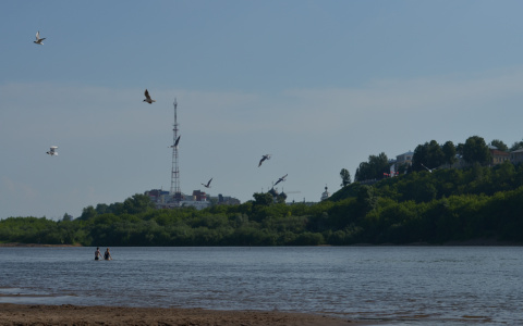 В Кировской области утонули четыре человека: среди погибших ребенок