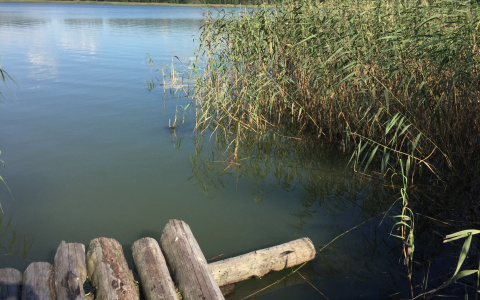 На берегу реки Вятка обнаружили тело неизвестной женщины