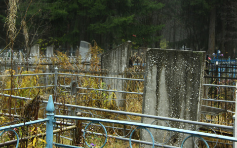 В Кировской области задержали парней, воровавших ограды с кладбищ