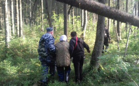 В Кировской области полицейские вынесли из леса заблудившуюся женщину