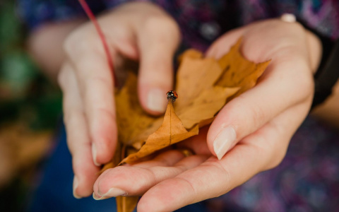 Прогноз погоды от МЧС: потеплеет ли в Кирове в среду?