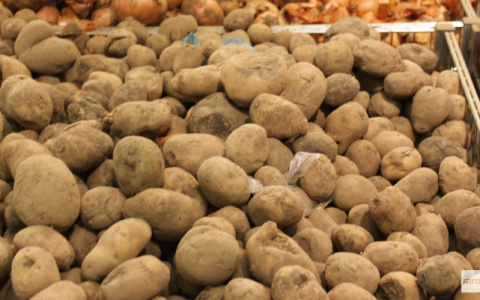 Агрохозяйства рассказали, чем кировчанам грозит неурожай в 2017 году