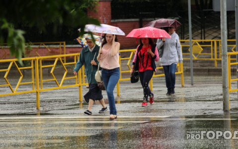 Прогноз погоды: предстоящая рабочая неделя в Кирове будет прохладной