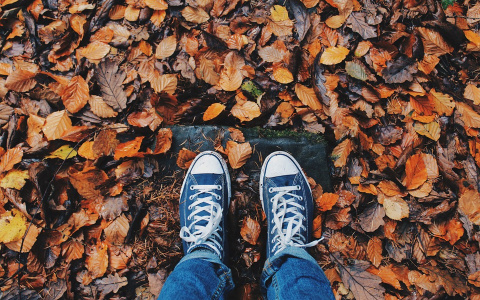 5 бесплатных мероприятий этой недели в Кирове