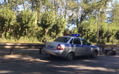 В Кирове на Производственной сбили лося: известны подробности аварии