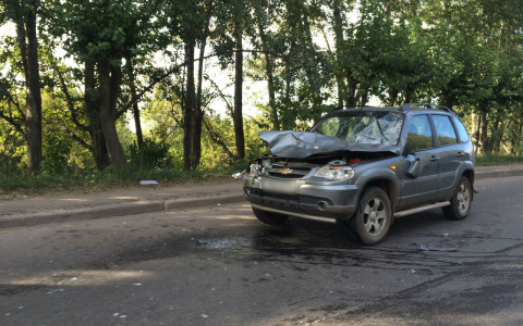 Что обсуждают в Кирове: ДТП с лосем и первое заседание суда по делу Белых