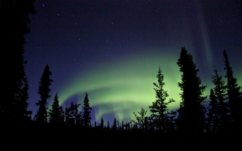 В Кировской области ожидается полярное сияние