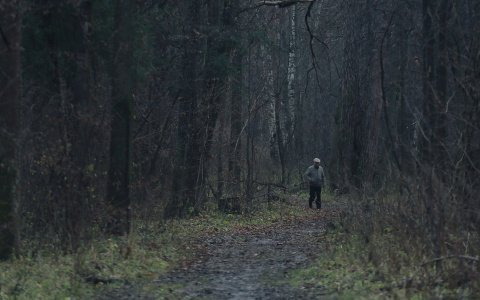 Кировские полицейские нашли в лесу мужчину, который пропал в июле