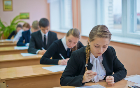 В Петербурге учительница придумала задачи про кировский данар и квас