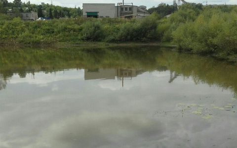 В Вятке у Нового моста кировчане заметили пятна солярки