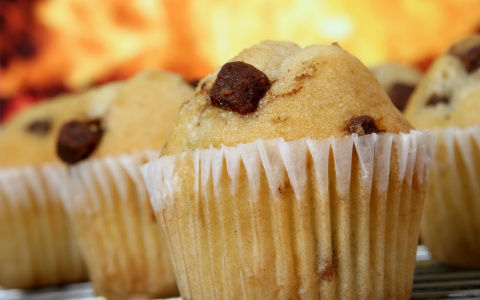 В Кирове увеличивается количество страдающих ожирением женщин