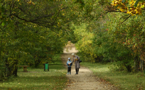 МЧС опубликовало прогноз погоды в Кировской области на четверг
