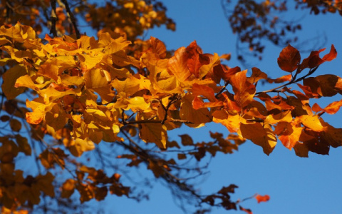 Прогноз погоды: какими будут выходные в Кирове?