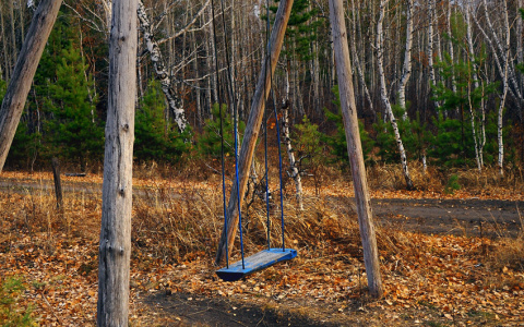 В Кирове качели упали на 13-летнюю девочку