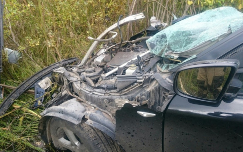 Что обсуждают: гибель пропавшей женщины и смертельное ДТП на трассе