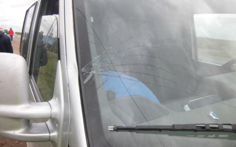 В Кирове пешеход вышел из автобуса и был сбит машиной