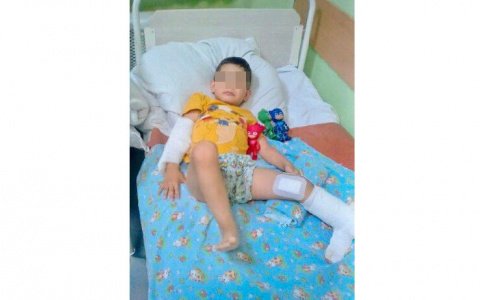 Мама ребенка, выпавшего с 13 этажа: «Он насмотрелся мультфильмов и сам выпрыгнул в окно»