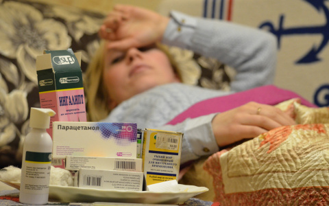 Четверо марийцев заразились в Кировской области «мышиной лихорадкой»