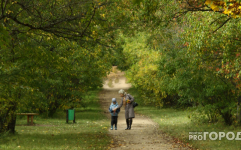 Прогноз погоды: какой будет рабочая неделя в Кирове?