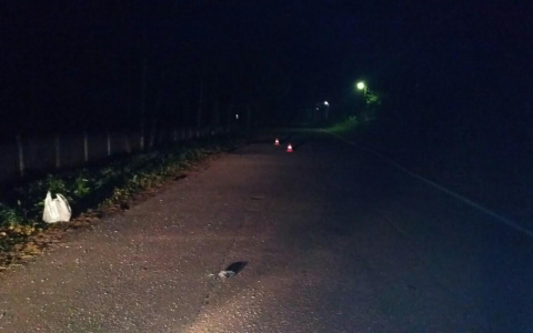 В Кировской области водитель насмерть сбил 27-летнего парня и скрылся