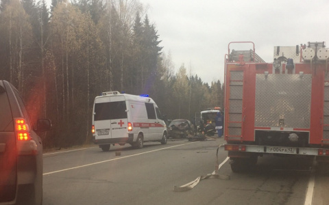 В Кировской области по вине пьяных водителей произошло 15 смертельных ДТП