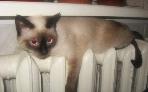 В мэрии назвали единственный микрорайон Кирова, где еще нет отопления