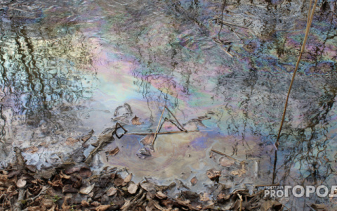 В Кирове неизвестные вылили нефтепродукты на почву