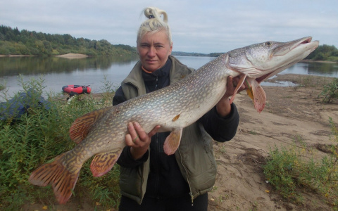 Кировчанка руками вытащила огромную щуку из Вятки